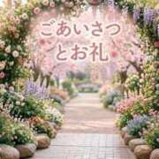 ヒメ日記 2026/04/12 06:15 投稿 まいこ 横浜おかあさん