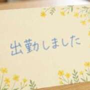 ヒメ日記 2026/05/08 11:55 投稿 まいこ 横浜おかあさん