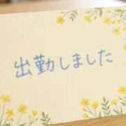 ヒメ日記 2026/06/20 10:05 投稿 まいこ 横浜おかあさん