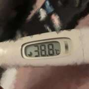 ヒメ日記 2026/04/18 11:49 投稿 湊らら ウルトラハピネス