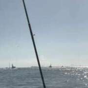 ヒメ日記 2026/08/17 22:50 投稿 湊らら ウルトラハピネス
