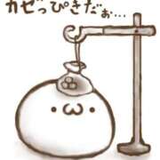 ヒメ日記 2026/06/10 08:06 投稿 にこ 若葉