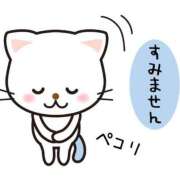 ヒメ日記 2026/07/22 08:44 投稿 にこ 若葉
