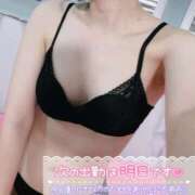 ヒメ日記 2026/07/31 14:32 投稿 にこ 若葉
