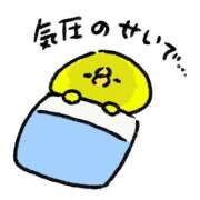 ヒメ日記 2026/08/03 09:09 投稿 にこ 若葉