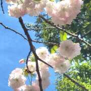 西島 出勤します☀️ 西船橋おかあさん