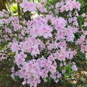 西島 出勤が変更のご連絡😣💦⤵️ 西船橋おかあさん