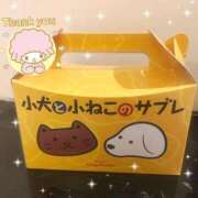 ヒメ日記 2026/04/25 12:08 投稿 おと マーガレット