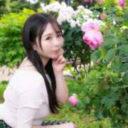 ヒメ日記 2026/05/12 08:43 投稿 日菜乃 シャトーペトラ