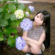 ヒメ日記 2026/06/17 08:23 投稿 日菜乃 シャトーペトラ