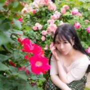 ヒメ日記 2026/08/17 20:31 投稿 日菜乃 シャトーペトラ