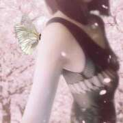 ゆか ぽかぽかしてきて、嬉しいな🌸♬🌸 熟女の風俗最終章 錦糸町店