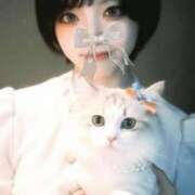 ヒメ日記 2026/04/03 14:02 投稿 藤宮 心愛 KOBE GOLD