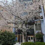 ヒメ日記 2026/04/03 22:51 投稿 ありす ダイスキ