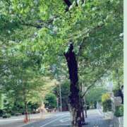 ヒメ日記 2026/03/31 09:28 投稿 ゆりか 厚木人妻城