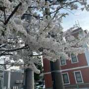 ヒメ日記 2026/03/28 05:14 投稿 神谷（かみや） 丸妻 錦糸町店