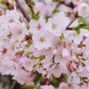 ヒメ日記 2026/03/30 06:30 投稿 神谷（かみや） 丸妻 錦糸町店