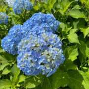 ヒメ日記 2026/05/27 13:52 投稿 神谷（かみや） 丸妻 錦糸町店