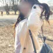 ヒメ日記 2026/04/08 09:20 投稿 保田 なごみ こあくまな熟女たち 本厚木店(KOAKUMAグループ)