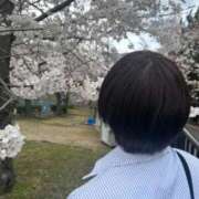 ヒメ日記 2026/04/13 15:20 投稿 りく コンカフェ×オナクラ @LOVE日本橋店