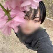 りく ももの花が咲いてた➰🩷 コンカフェ×オナクラ @LOVE日本橋店