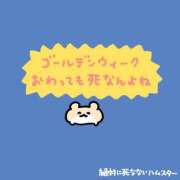 ヒメ日記 2026/05/09 11:50 投稿 りく コンカフェ×オナクラ @LOVE日本橋店