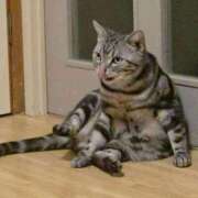 ヒメ日記 2026/03/30 19:46 投稿 高井 熟女の風俗最終章　鶯谷店