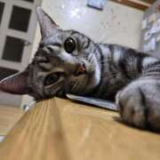 ヒメ日記 2026/04/05 12:24 投稿 高井 熟女の風俗最終章　鶯谷店