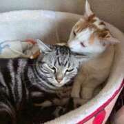 ヒメ日記 2026/04/07 08:36 投稿 高井 熟女の風俗最終章　鶯谷店