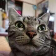 ヒメ日記 2026/04/16 07:56 投稿 高井 熟女の風俗最終章　鶯谷店