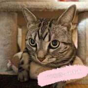 ヒメ日記 2026/04/20 19:56 投稿 高井 熟女の風俗最終章　鶯谷店