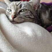 ヒメ日記 2026/04/22 08:31 投稿 高井 熟女の風俗最終章　鶯谷店