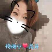 ヒメ日記 2026/07/14 15:56 投稿 高井 熟女の風俗最終章　鶯谷店