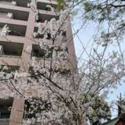 ヒメ日記 2026/03/30 17:05 投稿 ゆうか店頭パネル なでしこ(十三)