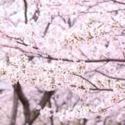 ヒメ日記 2026/04/07 09:12 投稿 ゆうか店頭パネル なでしこ(十三)