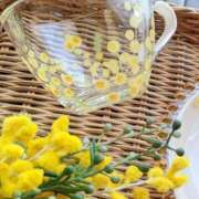 ヒメ日記 2026/04/16 16:46 投稿 ゆうか店頭パネル なでしこ(十三)