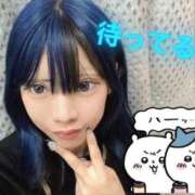 ヒメ日記 2026/04/13 00:58 投稿 れな【FG系列】 フィーリングin横浜