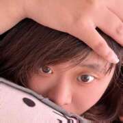 ヒメ日記 2026/04/14 11:45 投稿 ひま 池袋ぱんぷきん（シンデレラグループ）