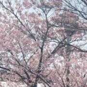 ヒメ日記 2026/03/30 09:30 投稿 みこ One More 奥様　西川口店