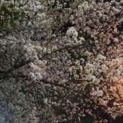 ヒメ日記 2026/04/06 18:04 投稿 みこ One More 奥様　西川口店