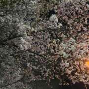 ヒメ日記 2026/04/15 19:35 投稿 みこ One More 奥様　西川口店