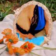 ヒメ日記 2026/04/13 16:23 投稿 みさき 完熟とまと(十三)