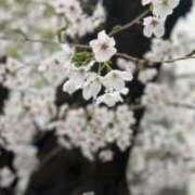 ヒメ日記 2026/03/30 22:06 投稿 ここ 桃色クリスタル