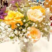 ヒメ日記 2026/04/08 12:24 投稿 藤森沙耶 熟女パラダイス池袋店(カサブランカグループ)