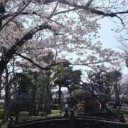 かおり 明日出勤します🎀 高級オナクラ　ひよこクラブ