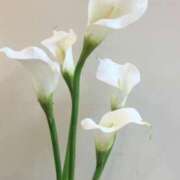 ヒメ日記 2026/06/30 18:31 投稿 沼(ヌマ)る。 GOOD-グッド-