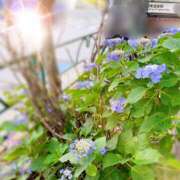 ヒメ日記 2026/06/13 11:25 投稿 じゅんこ 奥鉄オクテツ神奈川店（デリヘル市場グループ）