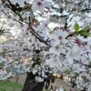 ヒメ日記 2026/04/04 13:20 投稿 みほ ロイヤルヴィトン(宇都宮)