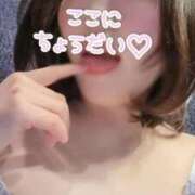 ヒメ日記 2026/04/08 16:29 投稿 みほ ロイヤルヴィトン(宇都宮)