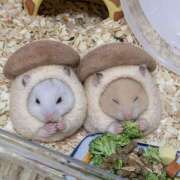 たお これからが楽しい時間🕰✨️ 和風パブ大江戸